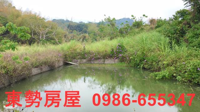 東勢農地-7