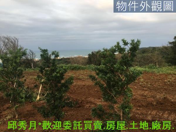 新北空百-4