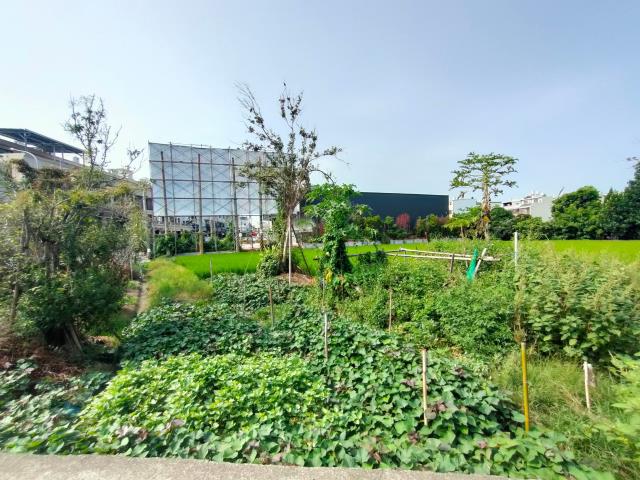 彰化溪湖建地-3