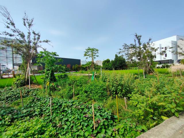 彰化溪湖建地-4
