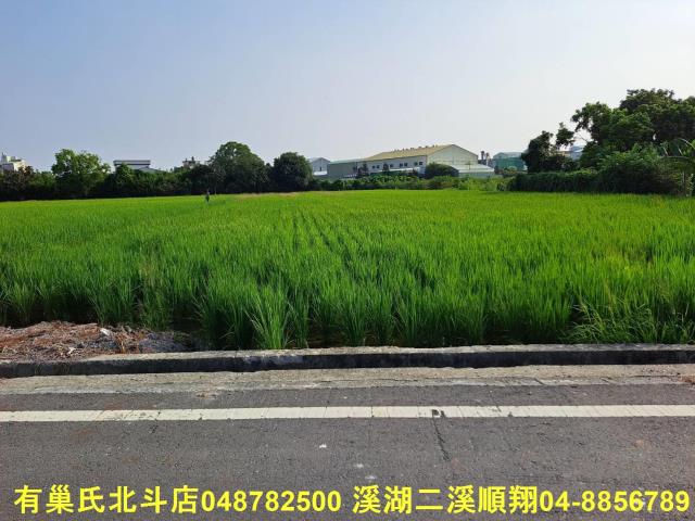 彰化埤頭農地-2