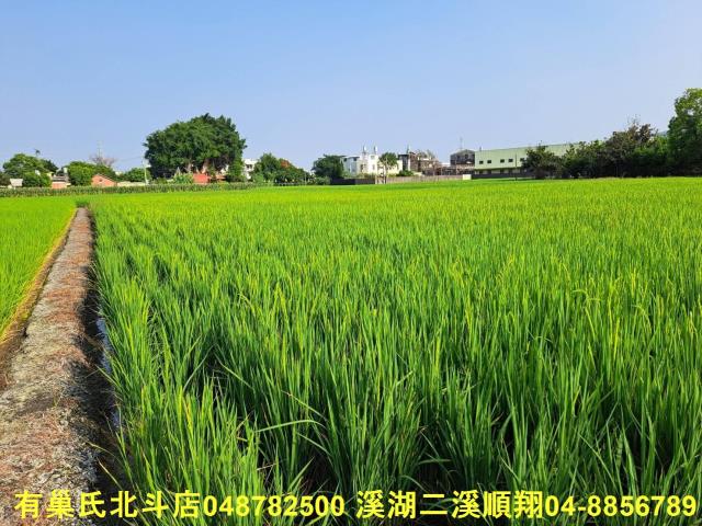 彰化埤頭農地-4