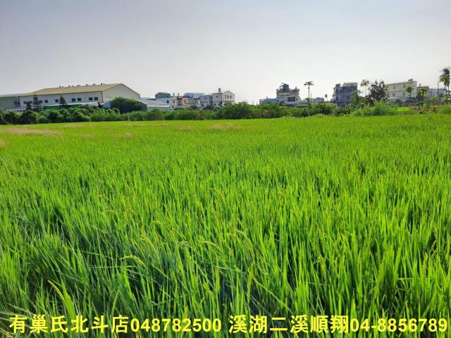 彰化埤頭農地-6