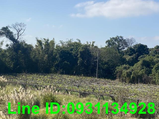 后里農地-2