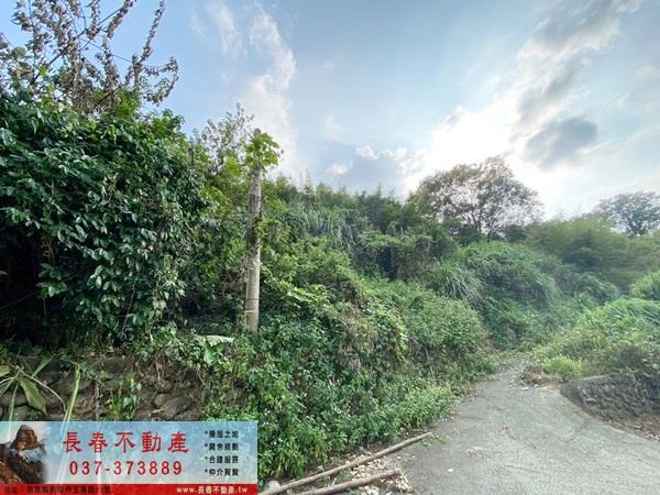 苗栗卓蘭山坡地-1