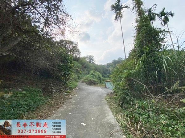 苗栗卓蘭山坡地-2