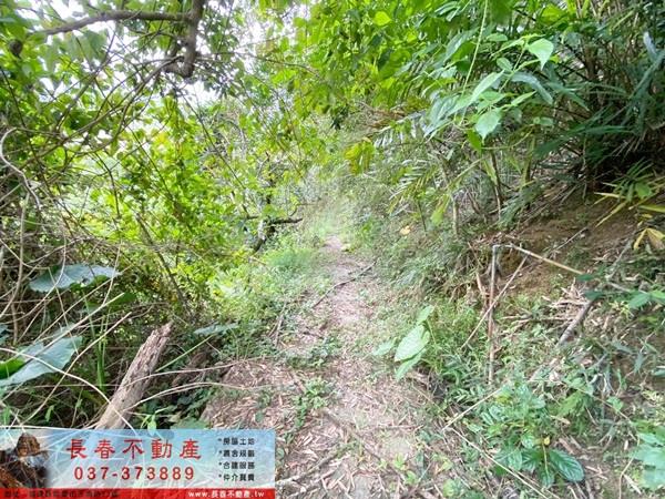 苗栗卓蘭山坡地-4