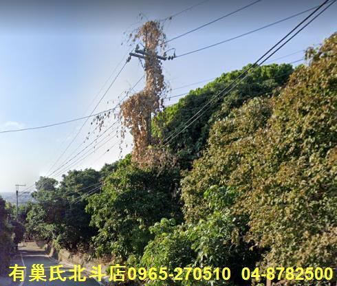 彰化社頭農地-1
