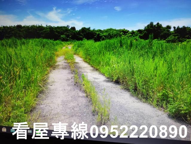 宜蘭壯圍農地-3