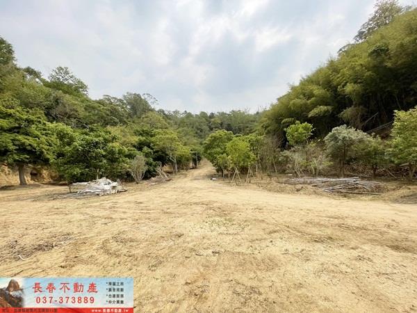 公館農地-1