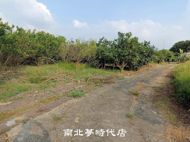 左鎮農地-1