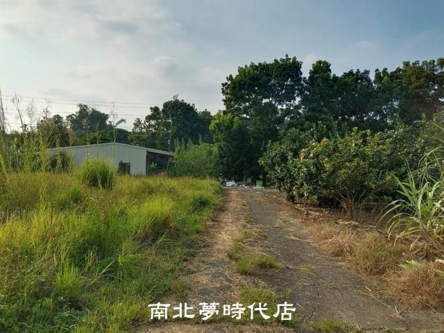 左鎮農地-3