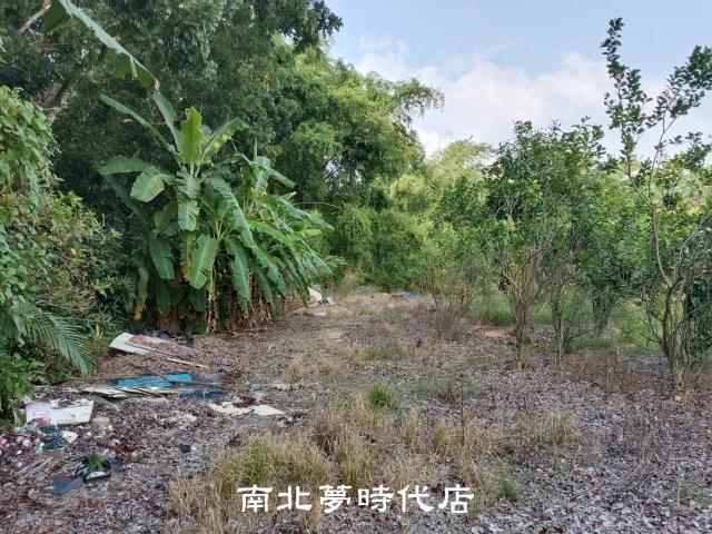 左鎮農地-7
