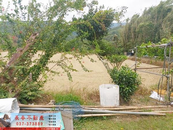 苗栗銅鑼農地-3