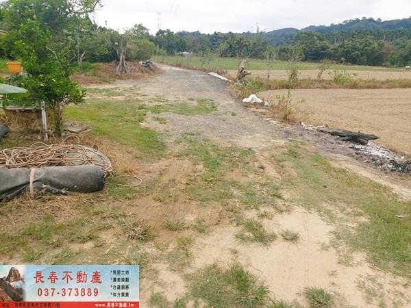 苗栗銅鑼農地-4