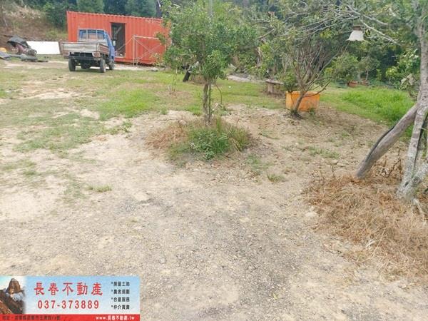 苗栗銅鑼農地-5