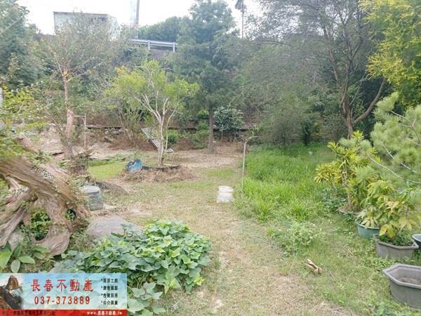 苗栗銅鑼農地-6