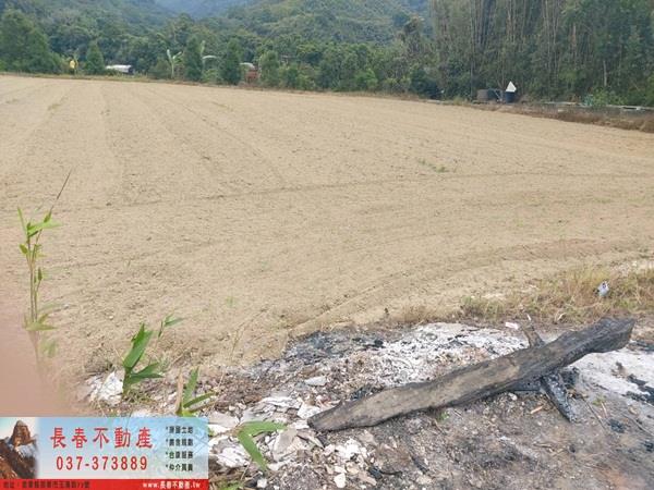 苗栗銅鑼農地-7