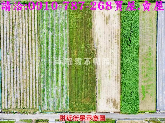 新市農地-6