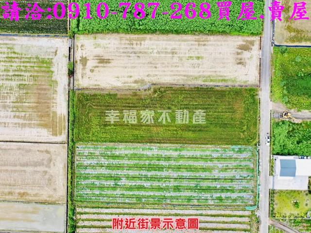 新市農地-7