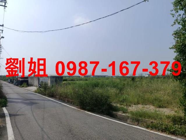 阿蓮農地-1