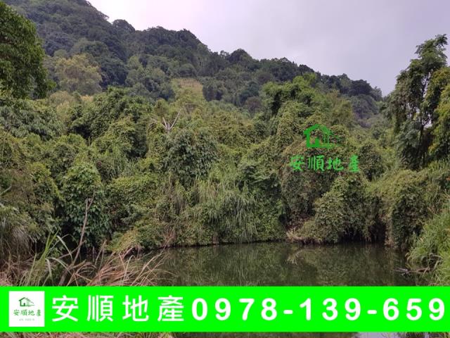 成功農地-1