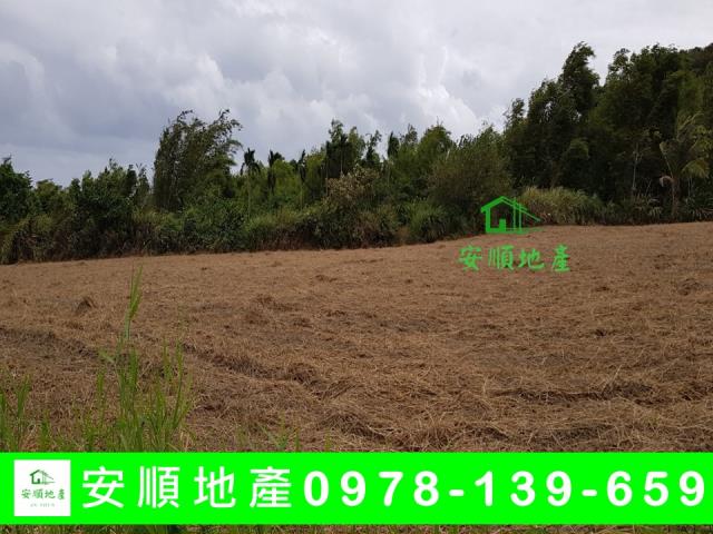 長濱農地-3