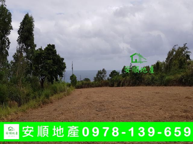 長濱農地-4
