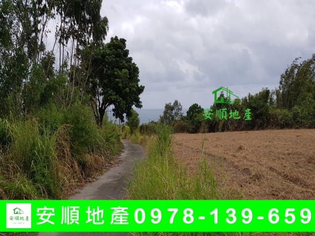 長濱農地-5