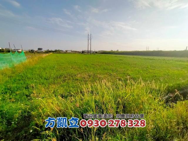 台南新市農地-3