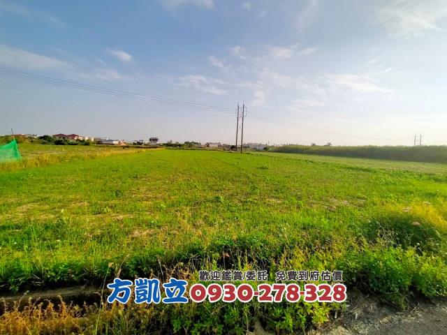 台南新市農地-4