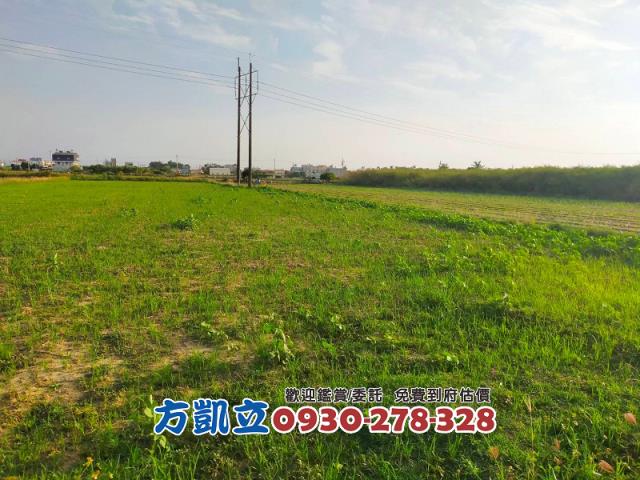 台南新市農地-5