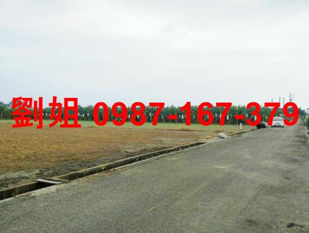 高雄大寮農地-1