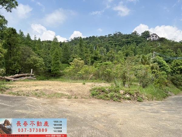 苗栗農地-1