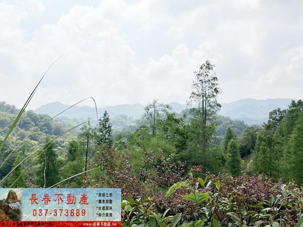 苗栗農地-7