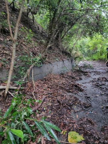 南投水里農地-3