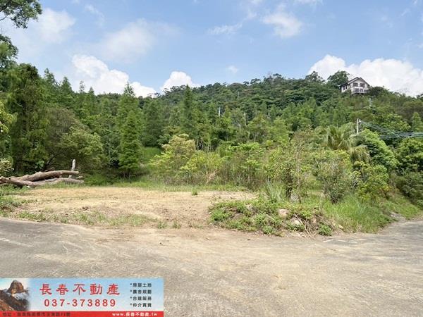 頭屋農地-1