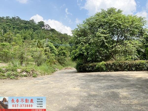 頭屋農地-2
