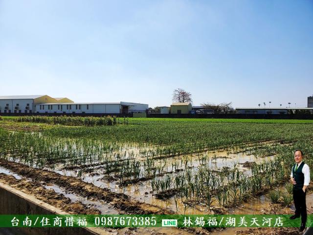 佳里農地-3