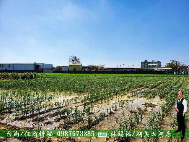 佳里農地-5