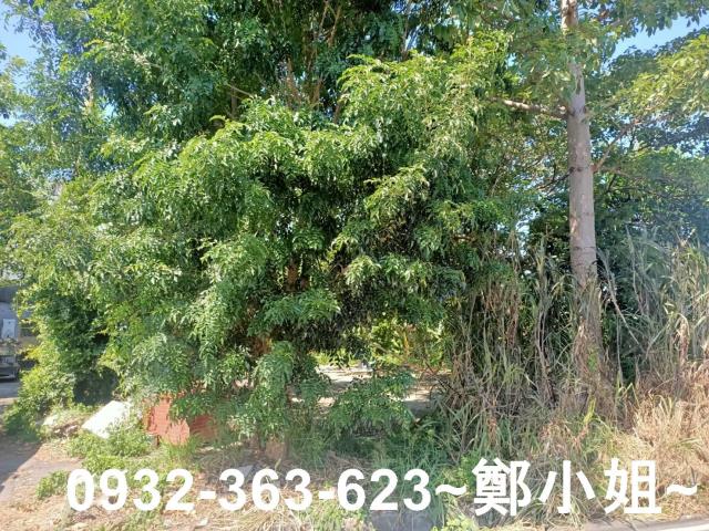 桃園桃園區農地-3