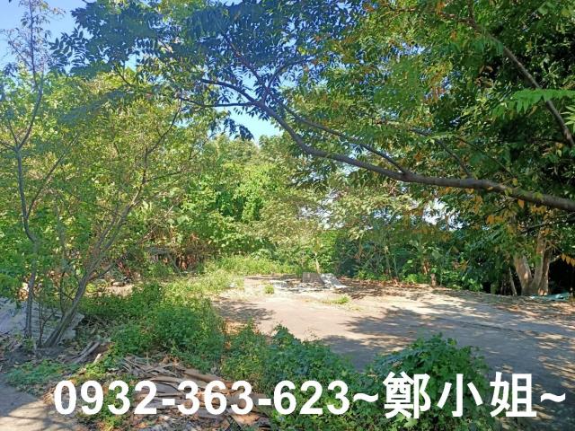 桃園桃園區農地-4