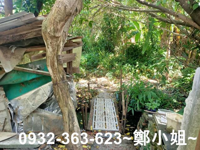 桃園桃園區農地-6