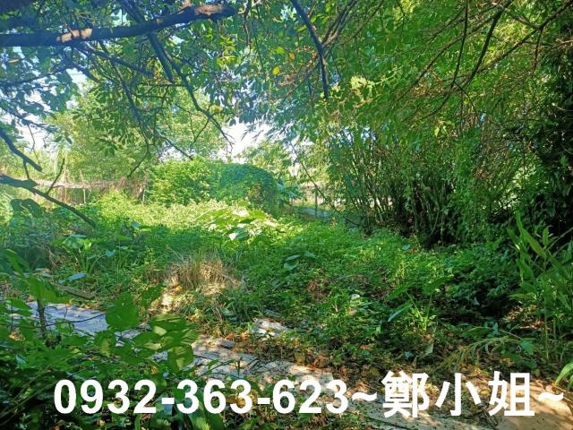 桃園桃園區農地-7