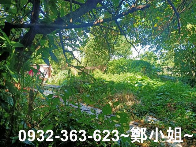 桃園桃園區農地-8