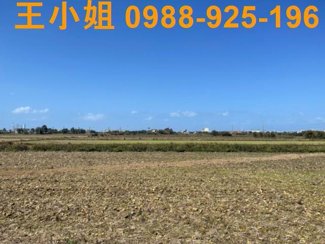 桃園觀音農地-10