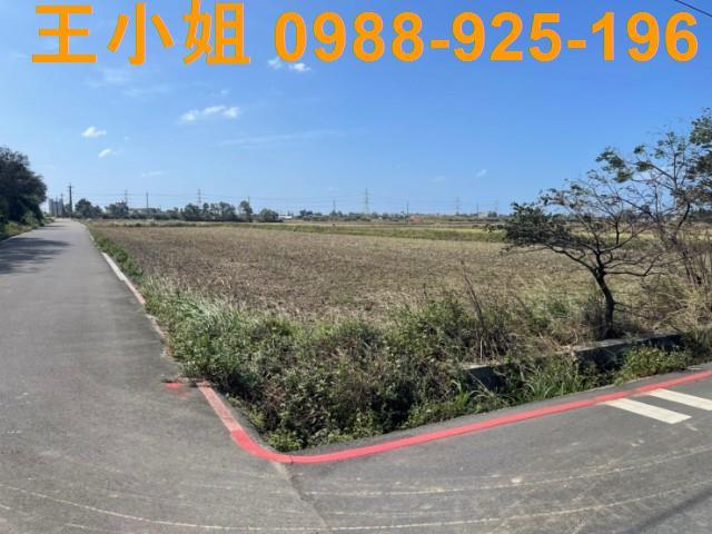 桃園觀音農地-1