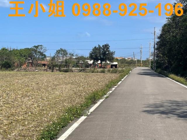 桃園觀音農地-5