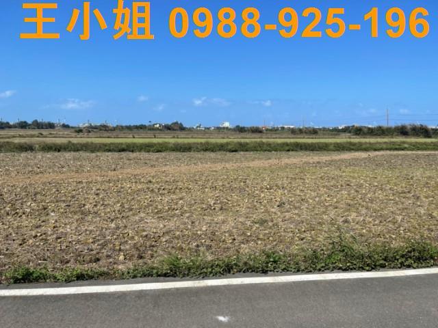 桃園觀音農地-9