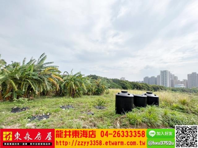 台中西屯農地-6